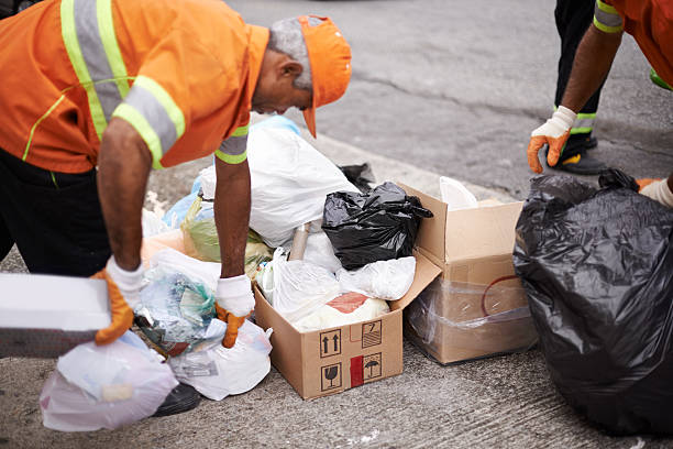 Best Yard Waste Removal in Longview, TX